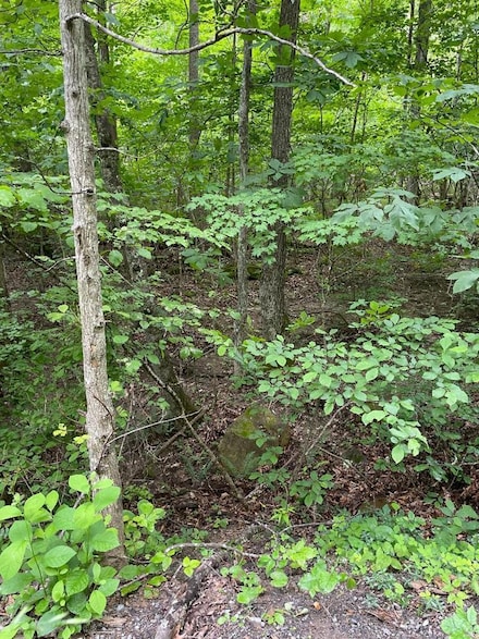 0 Sandlick Rd Unit 55263, Princeton, WV 24740