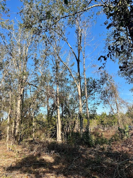 0 Us Highway 27 Unit 794214, Buckville, FL 32066