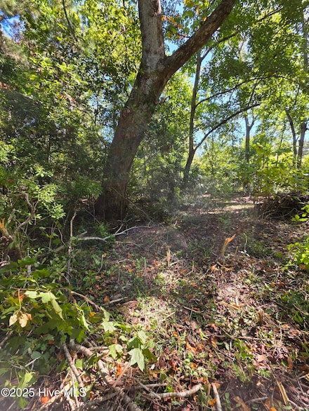 20 W High Bluff Dr, Hampstead, NC 28443