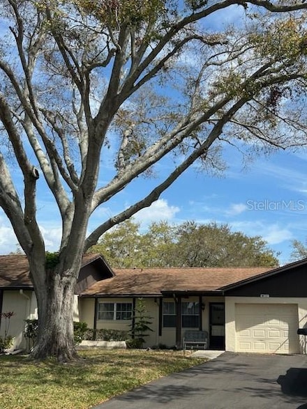 1567 Patton Dr Unit 1567, Dunedin, FL 34698