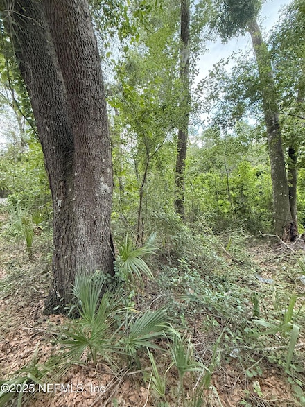 4117 Silver Lake Dr, Palatka, FL 32177