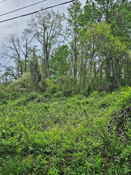 00 Euclid Ave, Marion, VA 24354