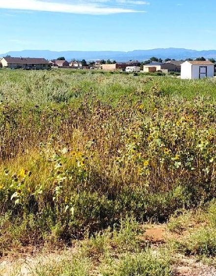 1460 W Guatamote Dr, Pueblo West, CO 81007