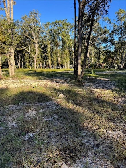 460 NE 364th Ave, Old Town, FL 32680