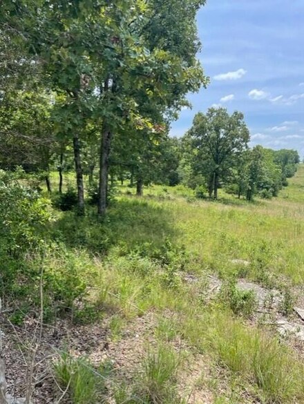 Tbd Tick Mountain Dr, Shell Knob, MO 65747
