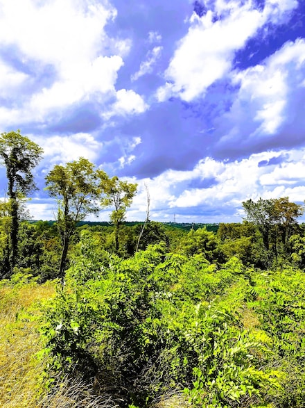 5 Ac Oak Ridge Rd Unit Parcel A, Williamstown, KY 41097