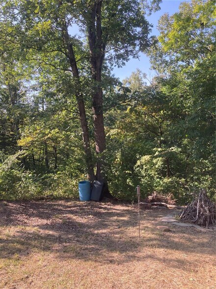 0 81 Lakeview Dr Unit 22060145, Ste Genevieve, MO 63670