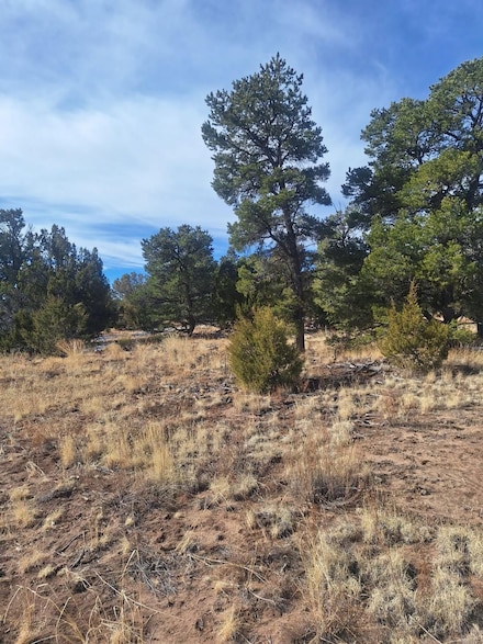 0 Indian Knolls Rd Unit 22733025, Fence Lake, NM 87315