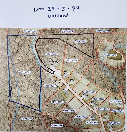 303 Eagle Dr Unit Lots 29, 31 and 77, McGregor, IA 52157