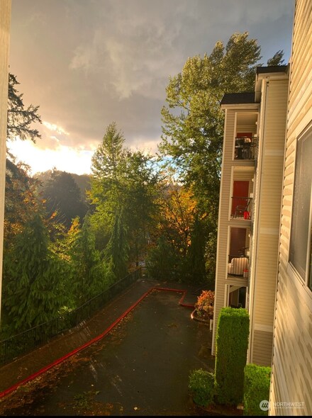 10709 Valley View Rd Unit A203, Bothell, WA 98011