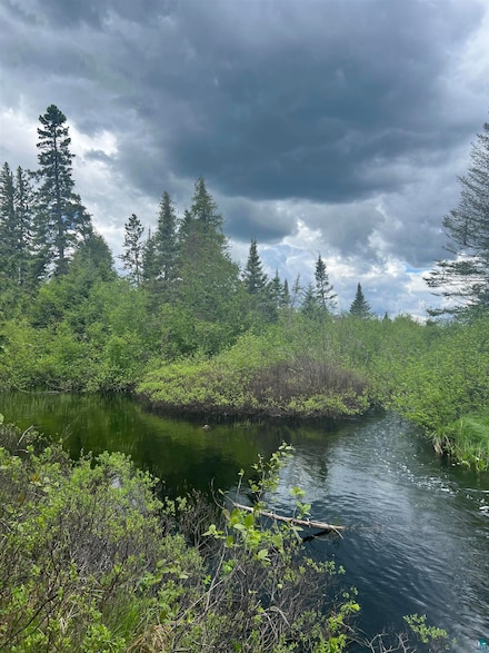 xxxx Camp 26 Rd, Silver Bay, MN 55614