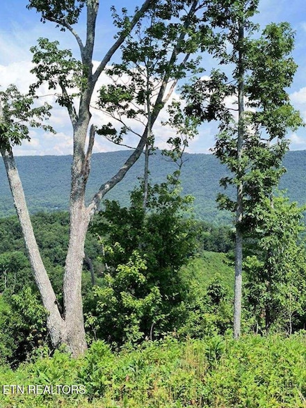 0 Ashe Cabin Hollow Rd, Harriman, TN 37748