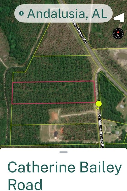 00 Catherine Bailey Rd, Andalusia, AL 36420