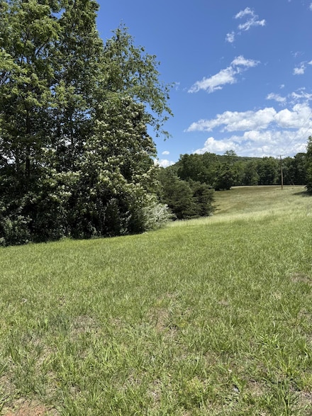 0 Goodview Rd Unit 917646, Goodview, VA 24095