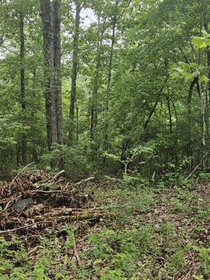 0 Dixie Ct Unit RTC2663416, Holladay, TN 38341