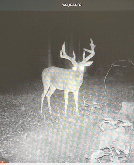 00 Holly Grove-Meeks Rd, Cruger, MS 38924