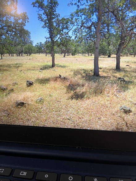 0 Campo Dios Rd Unit 25-5155, Shingletown, CA 96088