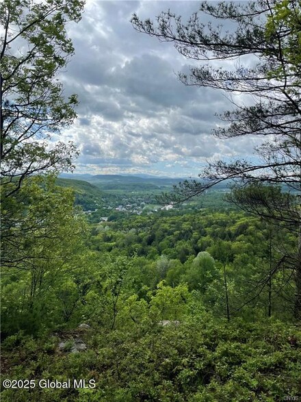 L15.1 Neddo St, Whitehall, NY 12887