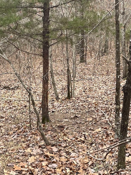 0 Co Rd 10, Hamilton, AL 35570