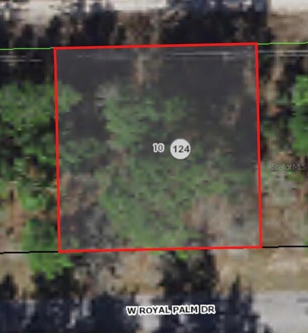 2671 W Royal Palm Dr, Citrus Springs, FL 34434