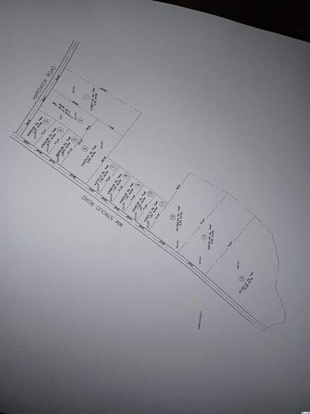 Lot 4 M W Stroud Rd, Nichols, SC 29581