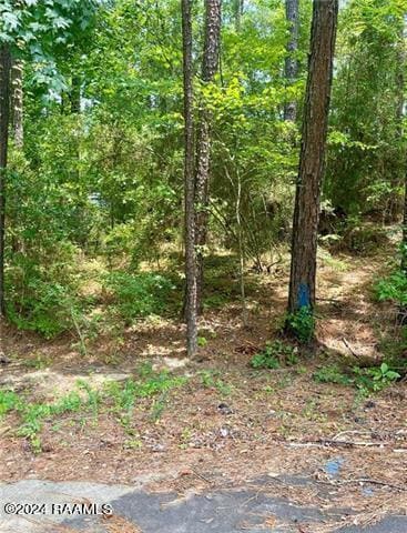 110 Seneca Ct, Pineville, LA 71360