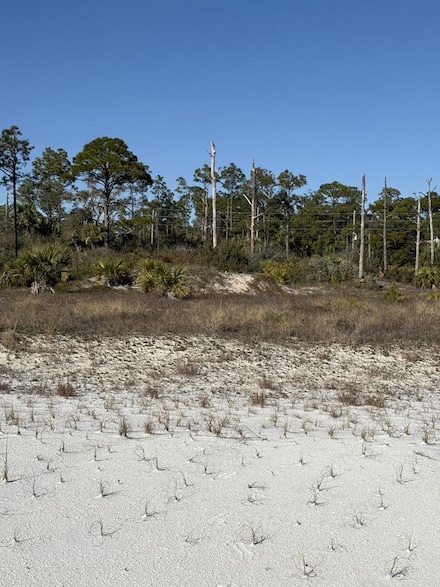 TBD Cr 30-A, Port St. Joe, FL 32456