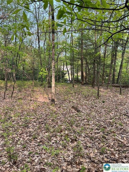 179 Oakridge Dr, Pike County, PA 18328