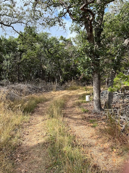 396 High Forest Dr, Blanco, TX 78606