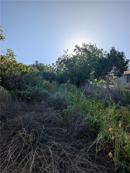 0 S Colusa St, Willows, CA 95988