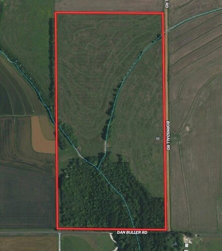 0 Dan Buller Bornsdall Rd Unit SWL22002668, Elton, LA