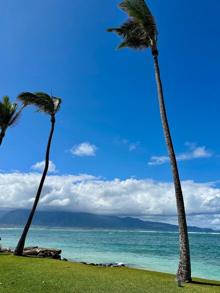590A Stable Rd, Paia, HI 96779
