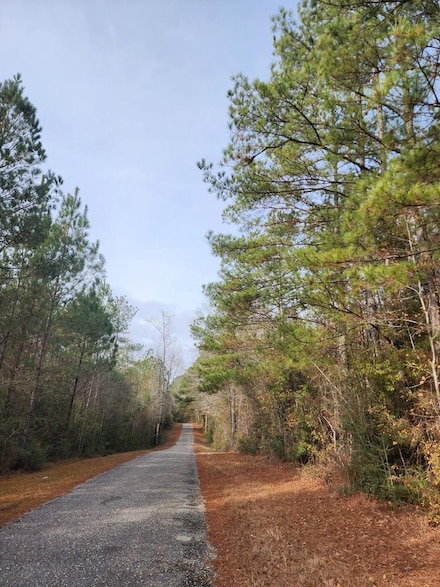80 Hugh Miller Rd, Sumrall, MS 39482
