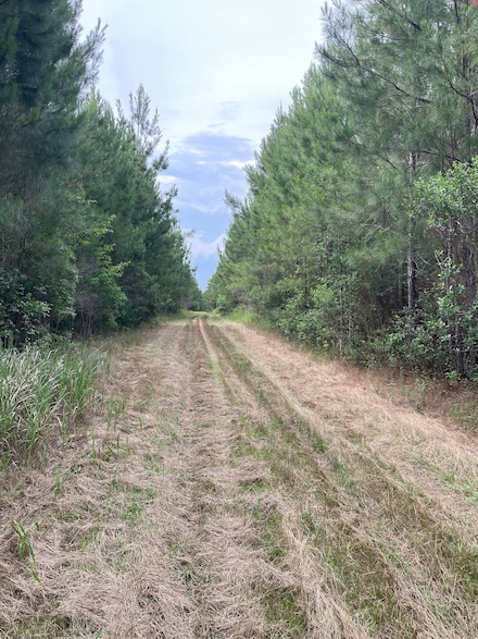 0 Highway 31 Unit 23789774, Perdido, AL 36562