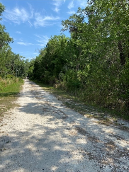 545 S Winterset Ave, Crystal River, FL 34429