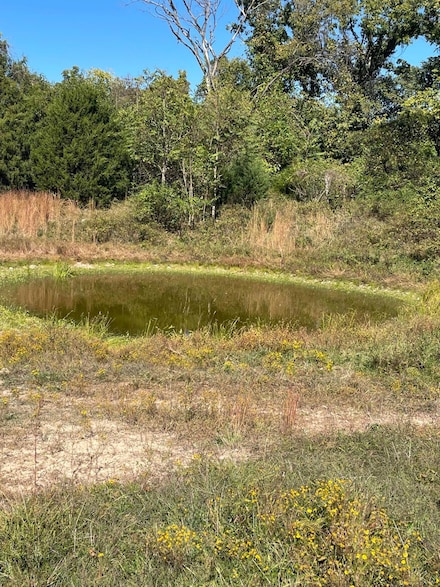 6312 County Road W76-436, Ava, MO 65608