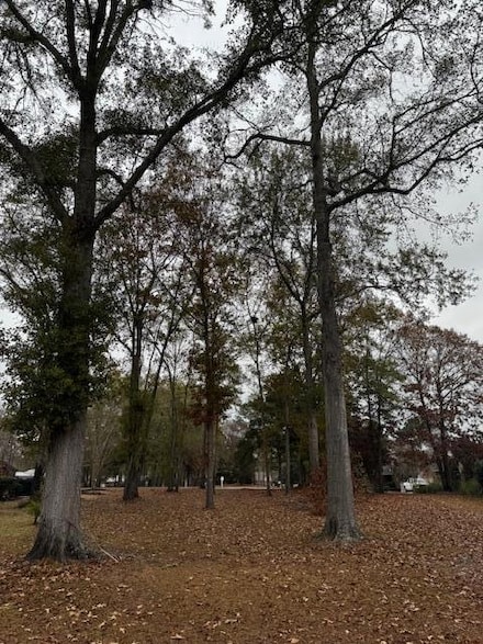 254 Ridge Lake Dr, Manning, SC 29102