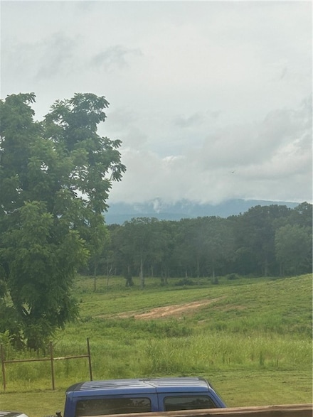 10108 Blevins Hill Ln, Dardanelle, AR 72834