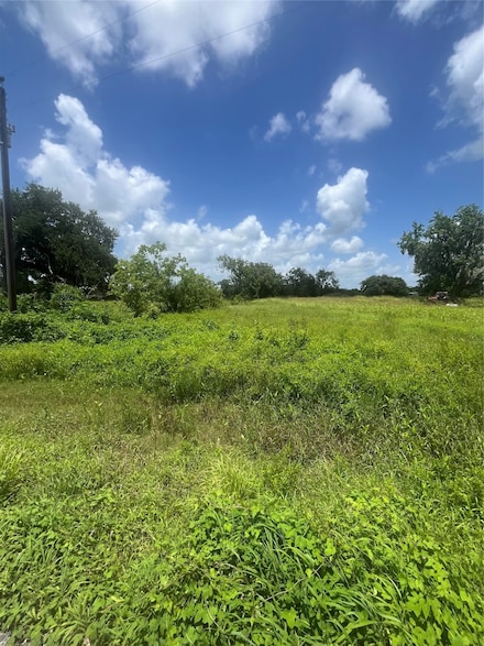 0 Cr-316 Unit 22897568, Brazoria, TX 77422