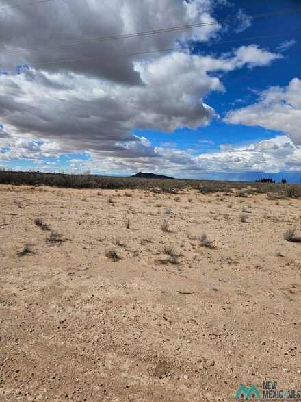 XXXX Horseshoe Rd NW, Deming, NM 88030