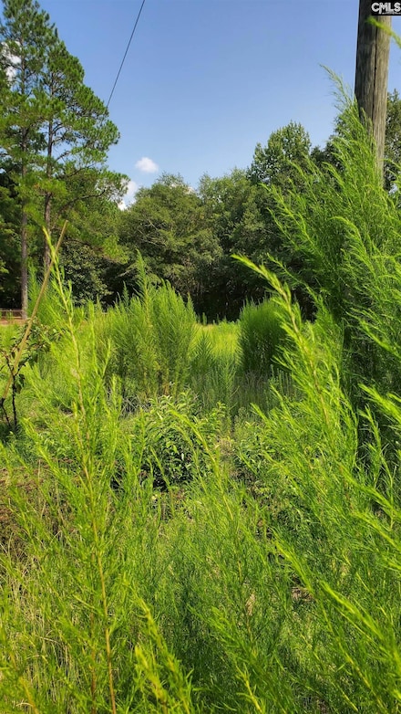 0 Ardis Rd, Pinewood, SC 29125