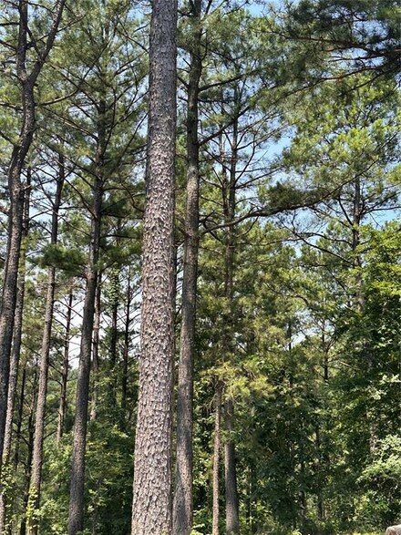 202 Crooked Cedar Trail, Hochatown, OK 74728