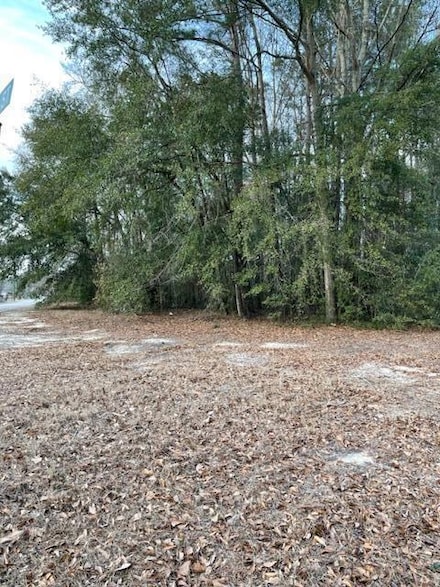 0 Tyler and Bruce St, Orangeburg, SC 29115
