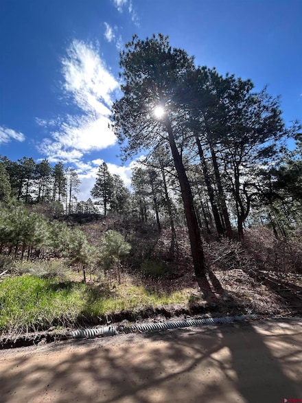 300 Berry Dr, Bayfield, CO 81122