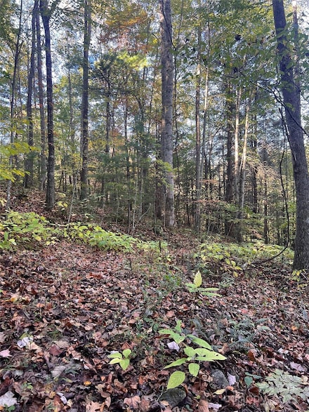 9999 Foxtown Rd, Hot Springs, NC 28743