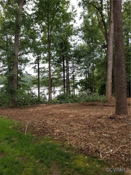 20001 Chesdin Harbor Dr, South Chesterfield, VA 23803