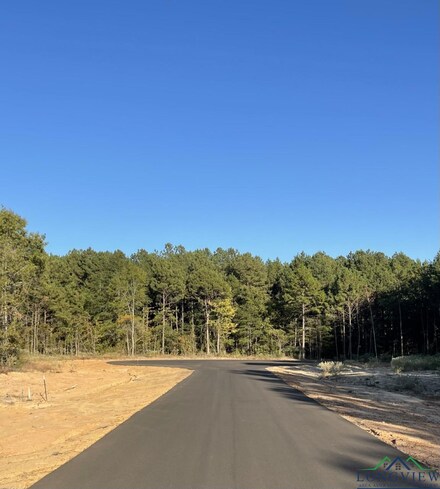TBD LOT 10 Stonebrook Ct, New Diana, TX 75645