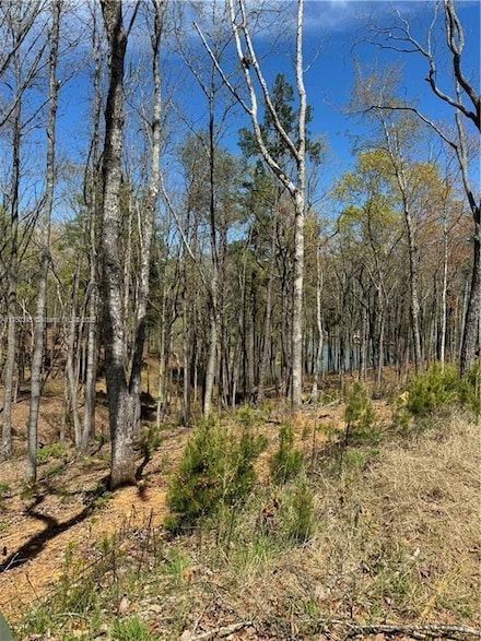 1012 Duncan Bridge Rd, Sautee Nacoochee, GA 30571