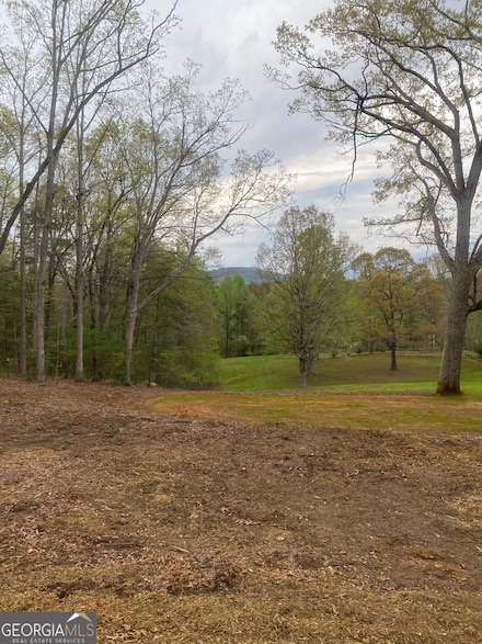 225 Hilltop Ln, Clarkesville, GA 30523