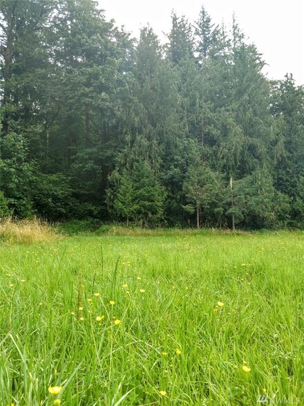 65 Goodwin Rd, Everson, WA 98247